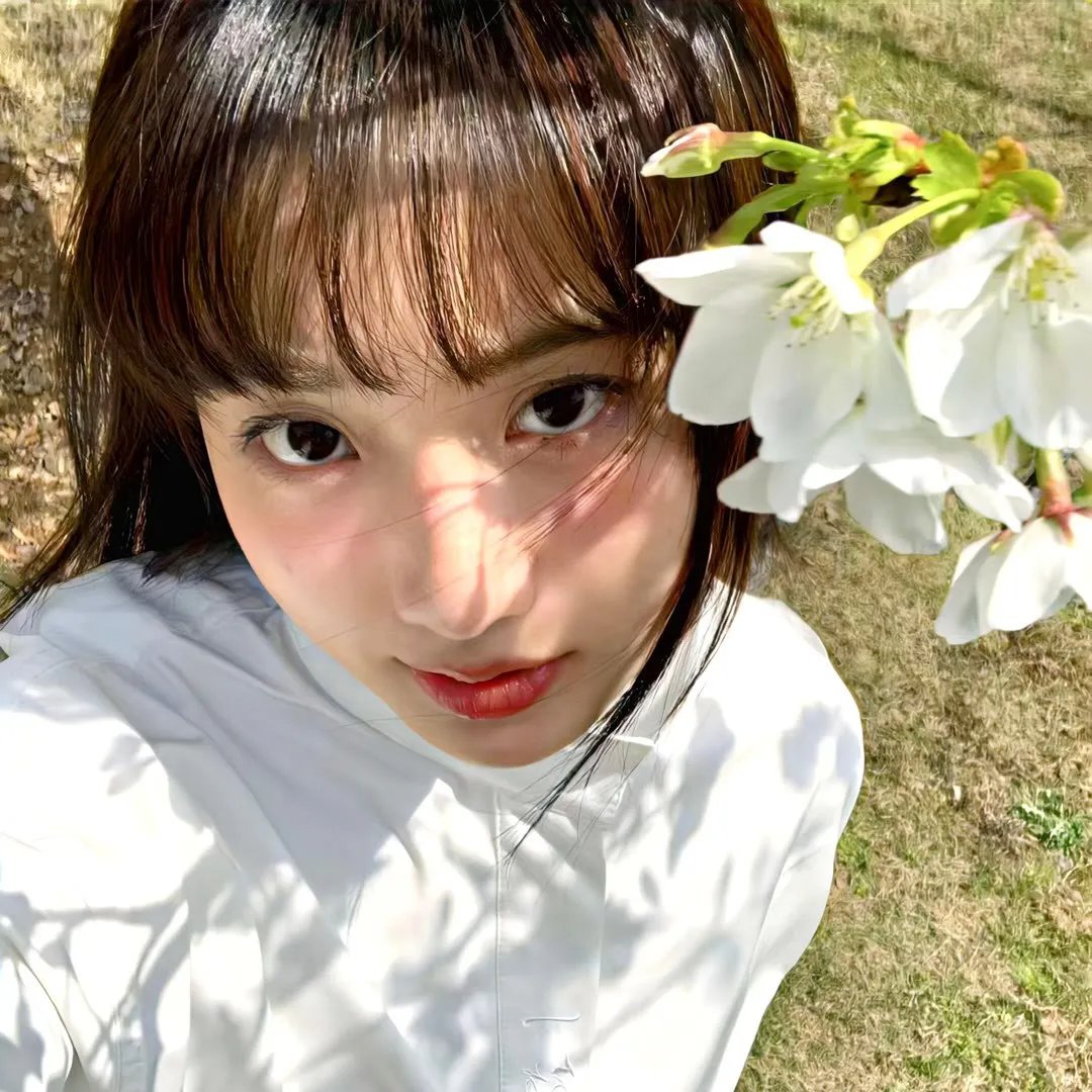 托托的色彩美学观